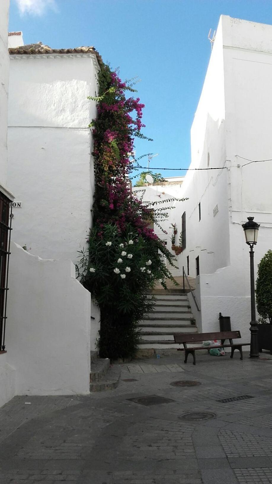 Casa Calle Alta Maria Bajo Vejer de la Frontera Exteriér fotografie